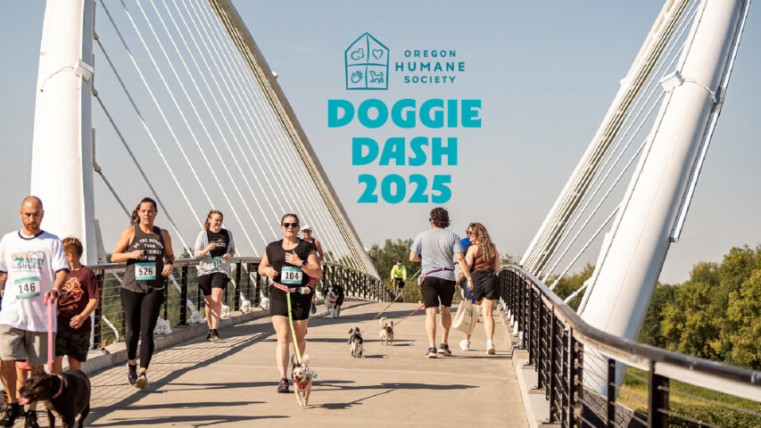 Things to do in Salem, Oregon // June 13 - 15, 2025
