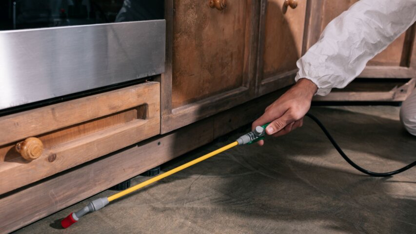 Pest Professionals You Can Trust: Local Pest Control Companies in Salem, OR