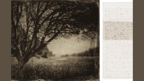 Things to do in Albany, Oregon // August 1–3, 2025