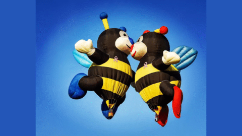 Things to do in Albany, Oregon // August 22–24, 2025