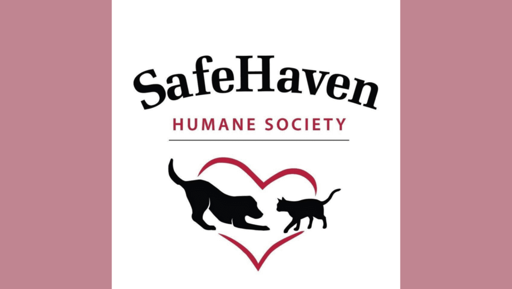 SafeHaven at Sniffany's Albany OR