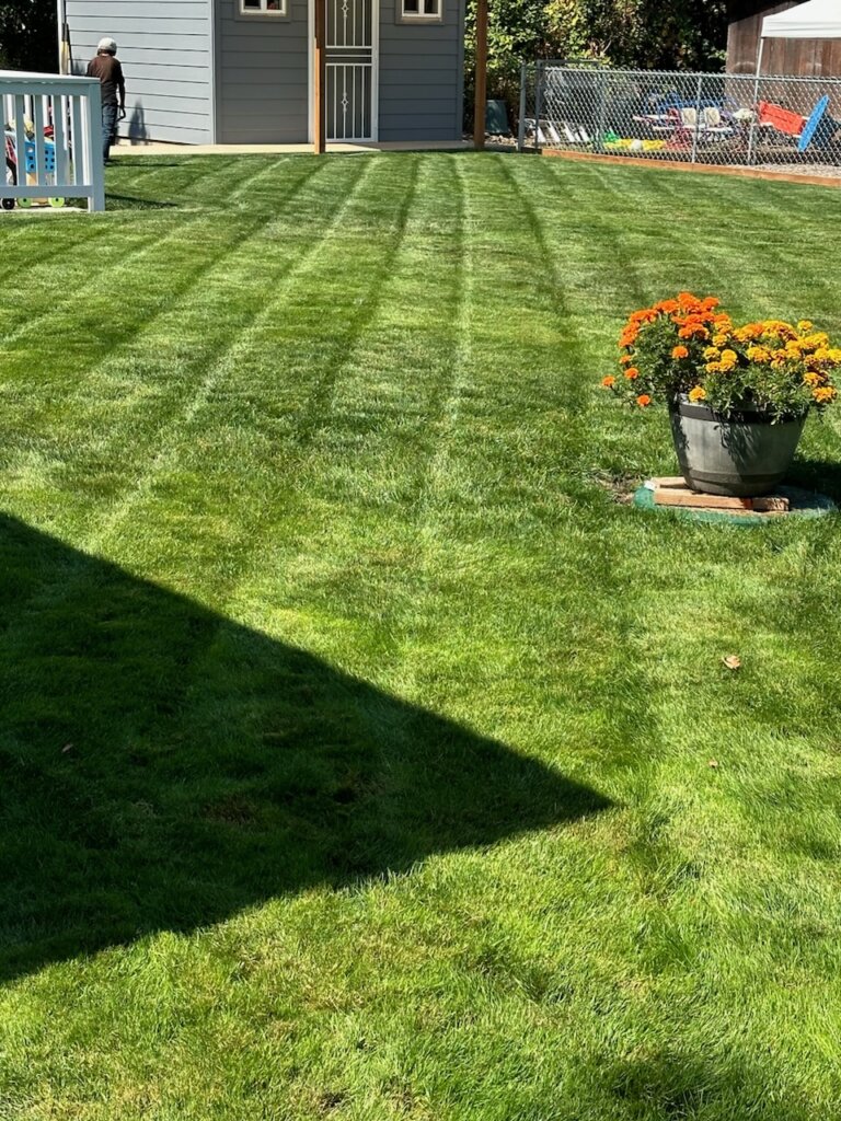 Jose's Maintenance and Lawn Care Albany OR