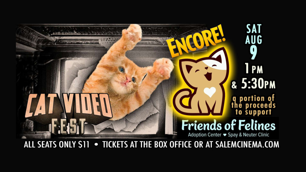 cat video fest