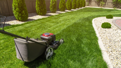 Keep Your Yard Beautiful: 5 Lawn Care Companies in Albany, OR