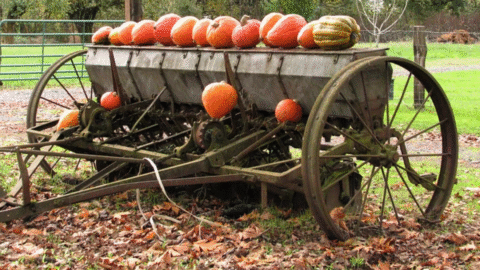 Things to do in Albany, Oregon // October 3 - 5, 2025