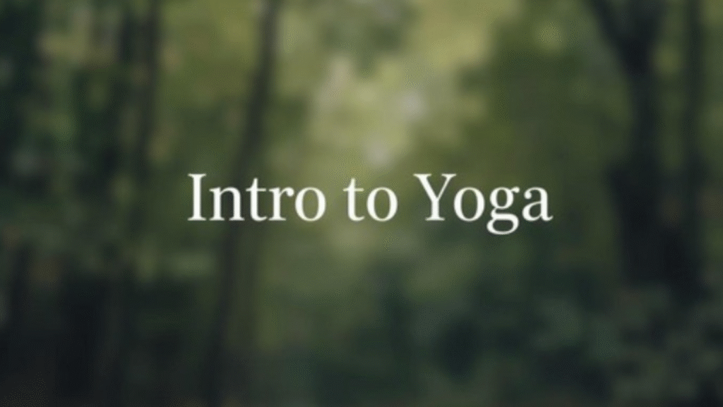 Intro to Yoga