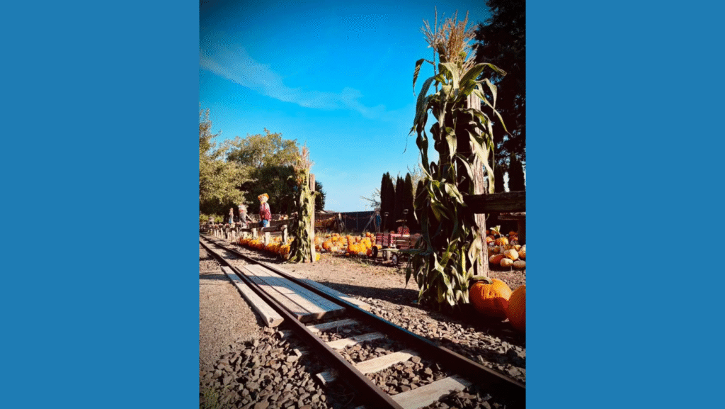 Choo Choo and Pumpkins Too!