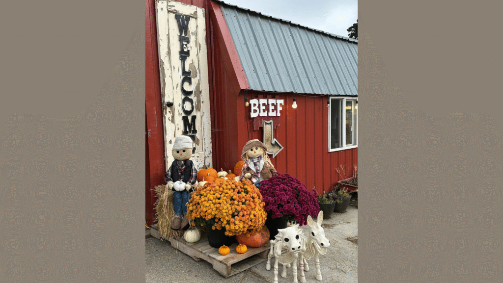 Pumpkin Painting on the Farm
