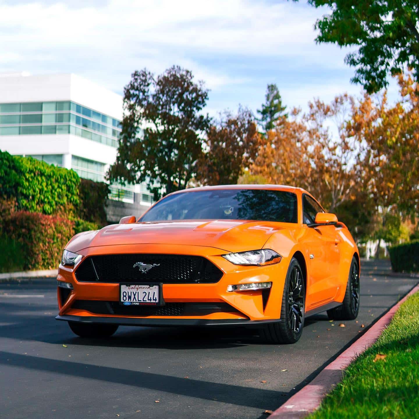 Top Window Tinting Shops in Carlsbad, CA