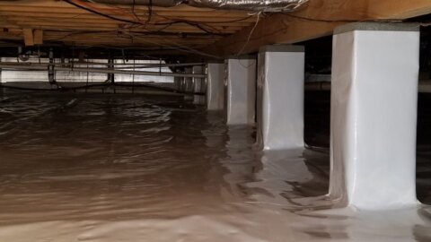 Best Crawl Space Encapsulation Companies in Richmond, VA