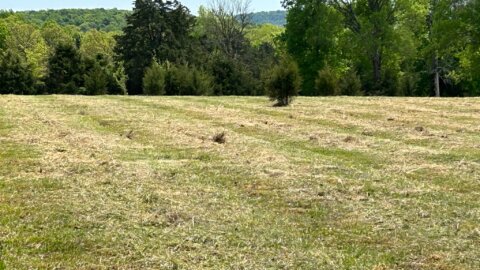 Top Land Clearing Companies in Murfreesboro, TN