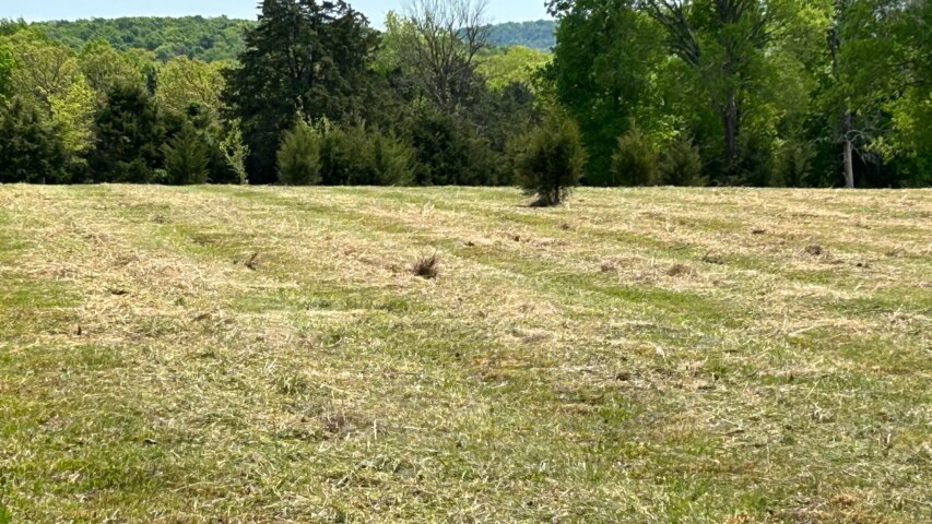 Top Land Clearing Companies in Murfreesboro, TN