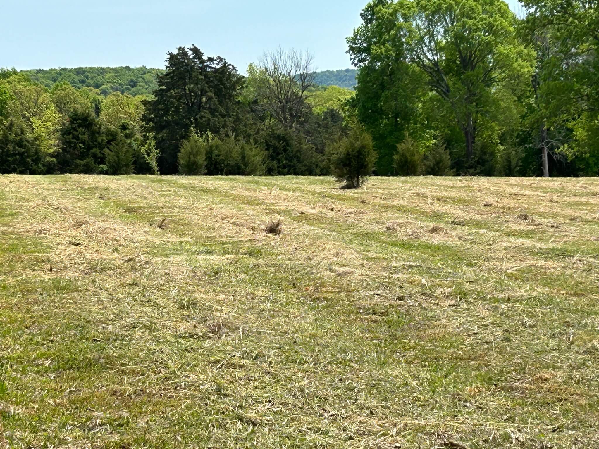 Top Land Clearing Companies in Murfreesboro, TN