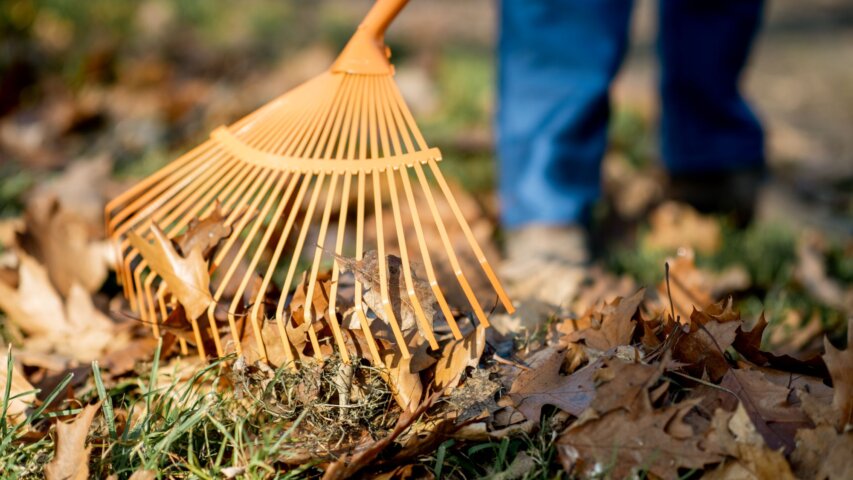 Fall Home Maintenance: Essential Tasks to Tackle in October