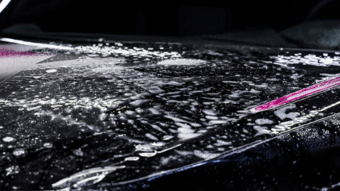 Best Paint Protection Film Shops in Raleigh, NC