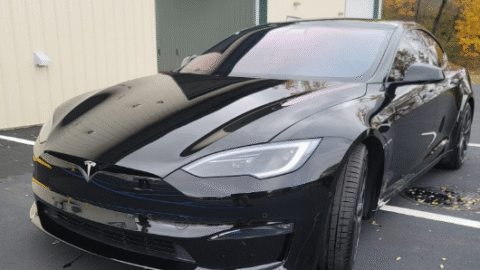 Best Tesla Paint Protection Shops in Augusta, NJ