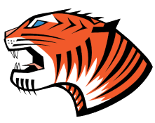 Tiger C Construction LLC Logo