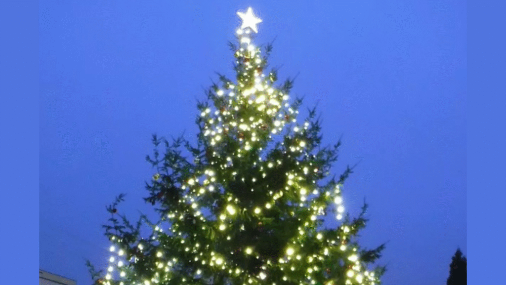 Downtown Community Tree Lighting