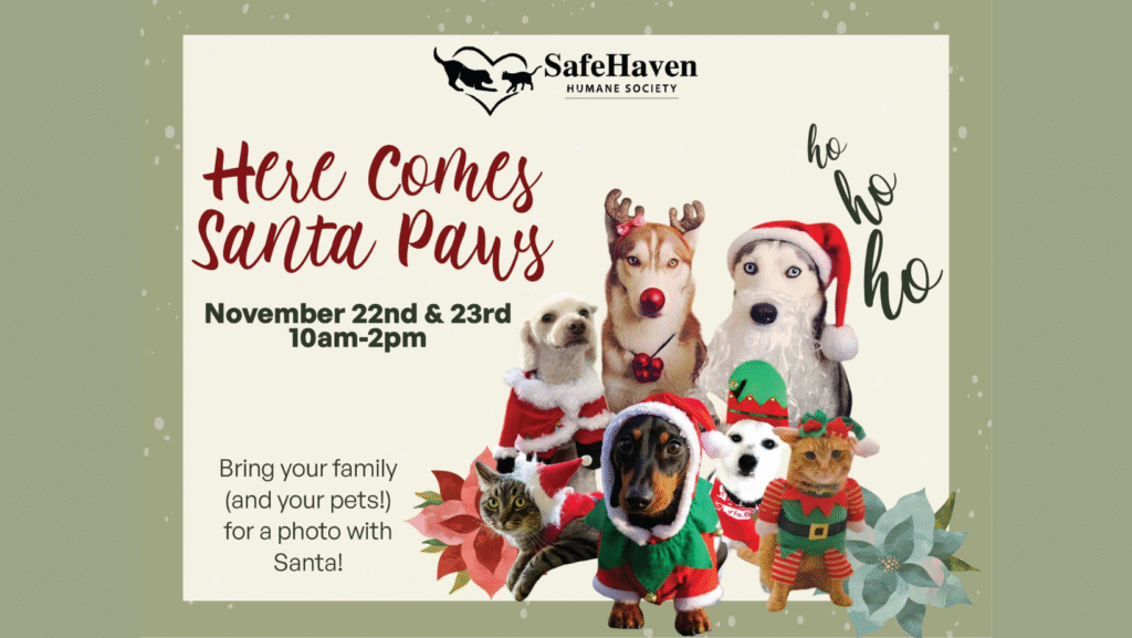 Here Comes Santa Paws!