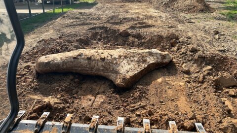 Best Land Contouring Services in Murfreesboro, Tennessee