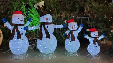 A Unified Wonderland: Christmas Storybook Land Shines Brighter with Pastega Lights