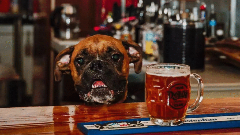 Early Countdown Party