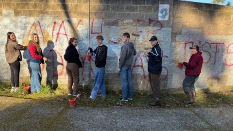 Restoring the View: Albany’s 2026 Parks Initiative in Action