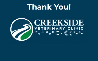 Grateful hearts and wagging tails over here🐶🐾❤️! We would