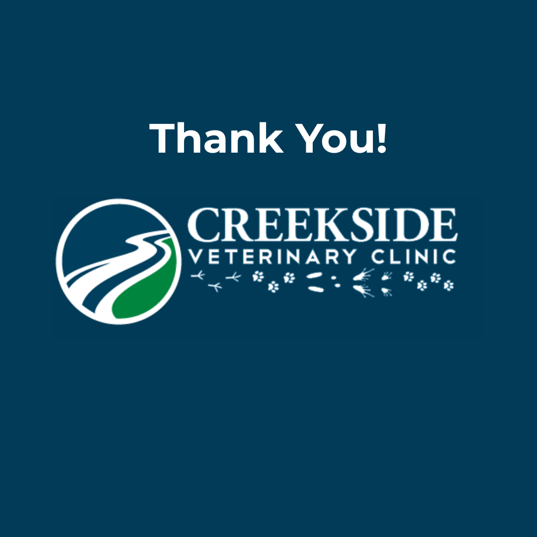 Grateful hearts and wagging tails over here🐶🐾❤️! We would