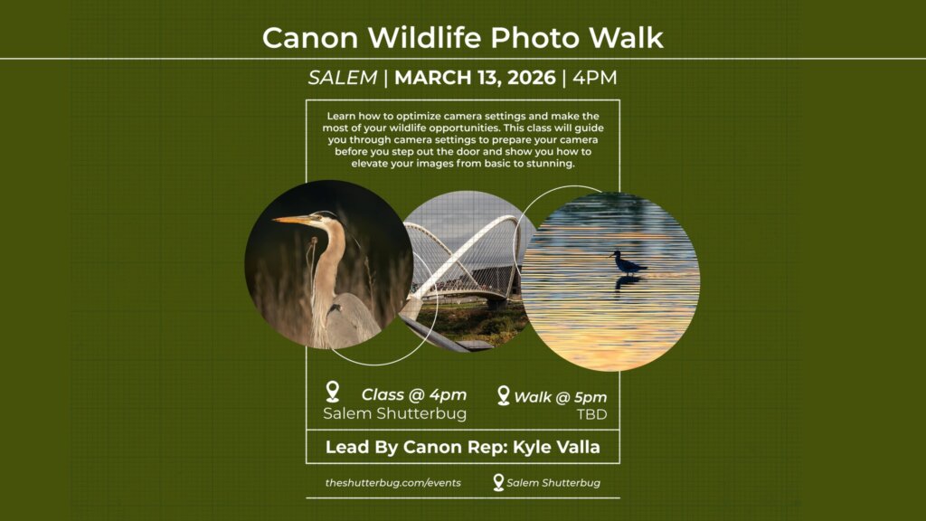 canon wildlife class photo walk
