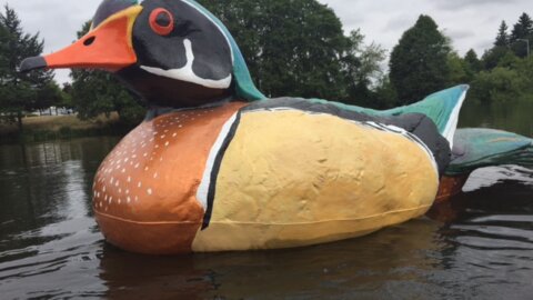 Giving a Local Icon a Lift: The Waverly Duck Needs a Tune-Up