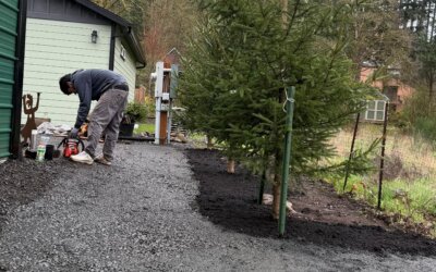 We love Transforming Outdoor Spaces and making our clients