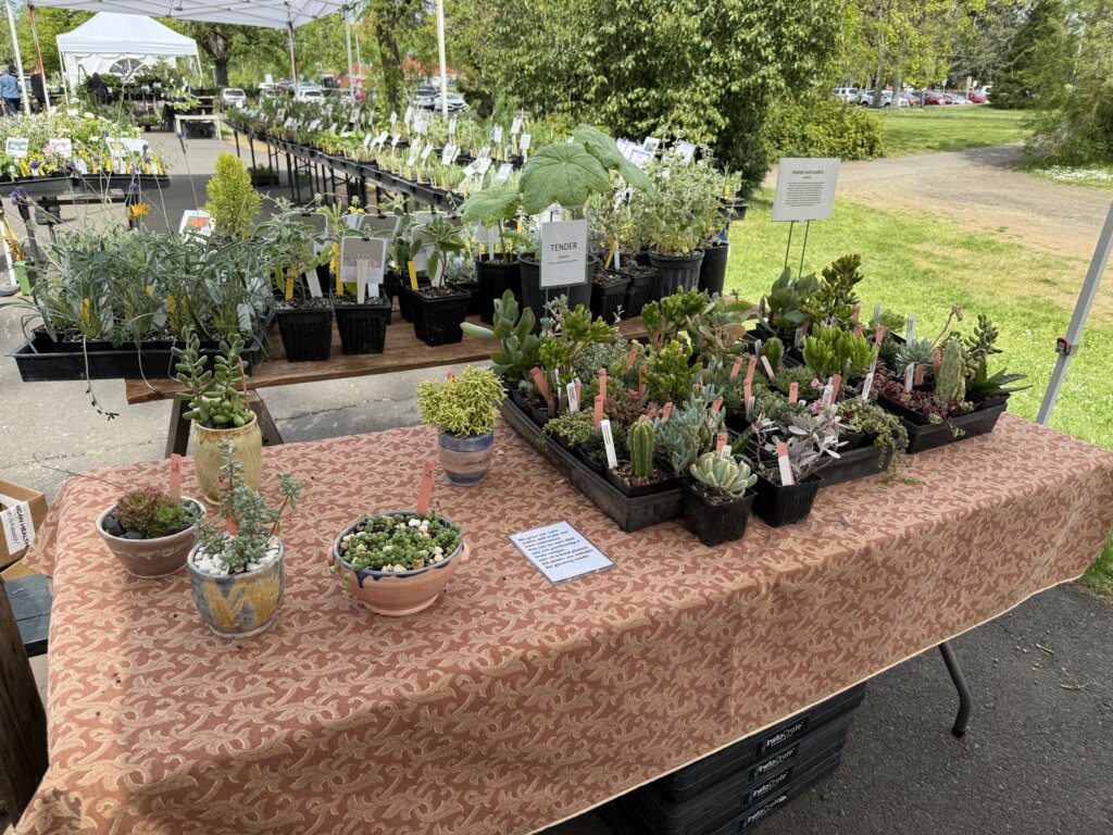 2026 Mission Street Parks Conservancy Spring Plant Sale