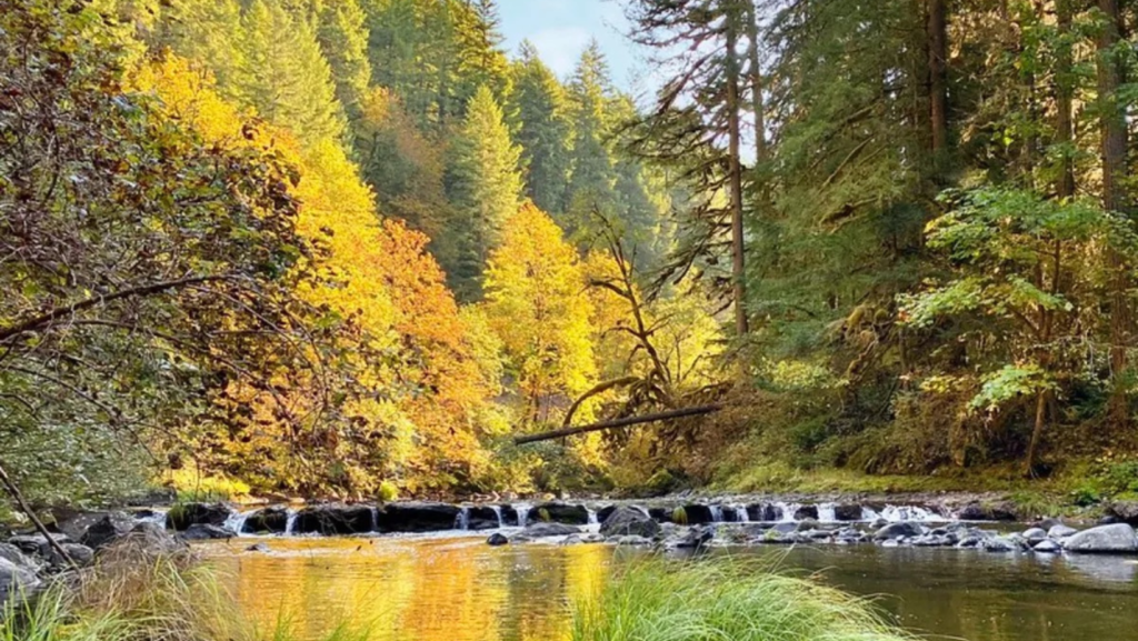 Santiam Wagon Road Library Talk