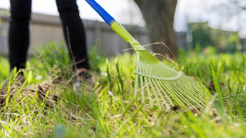 Seasonal Lawn Care Tips for a Healthier Yard Year‑Round