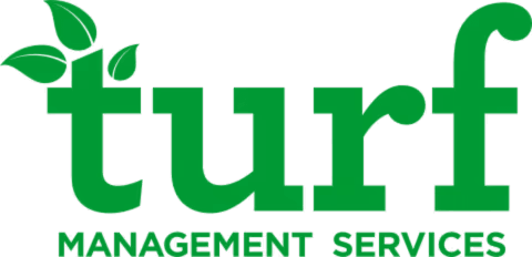Top 5 Best Landscaping Companies in Erie, PA