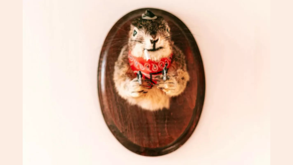 Makers' Meetup: Stuffed Animal (Plushie) Taxidermy