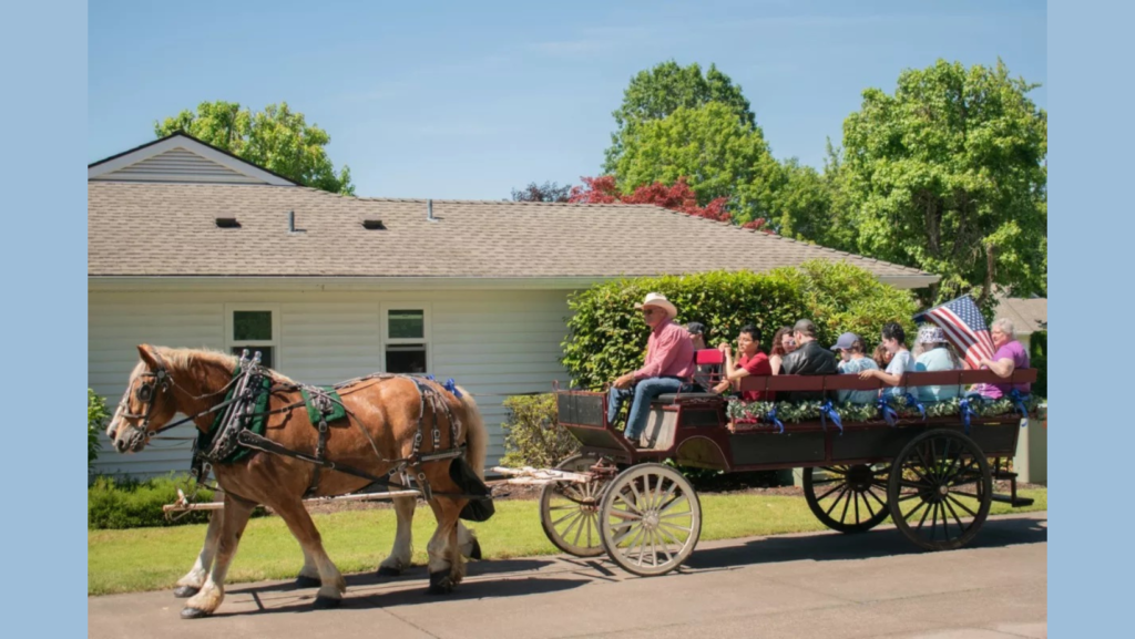 Horse drawn carriage