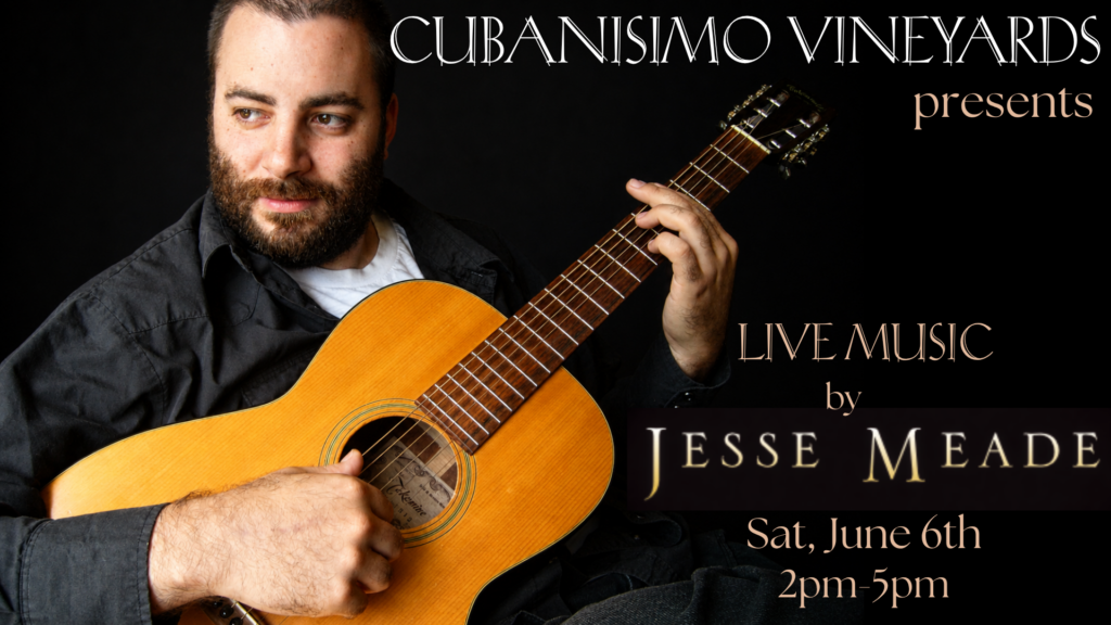 Live Music by Jesse Meade
