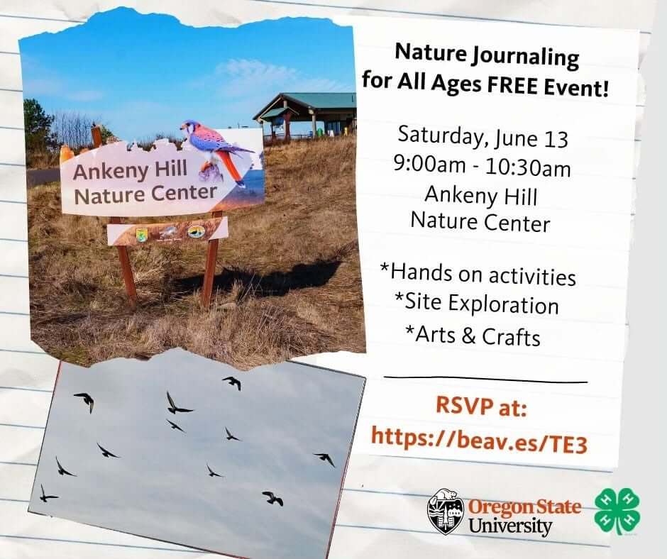 Nature Journaling for All Ages