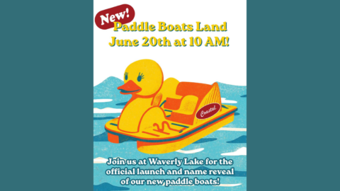 Meet the Fleet: Waverly Lake Paddle Boats Return with Community-Voted Names