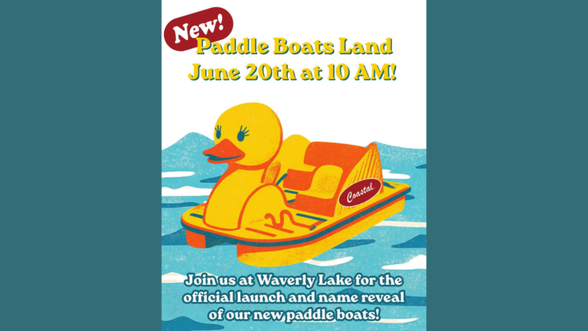Meet the Fleet: Waverly Lake Paddle Boats Return with Community-Voted Names