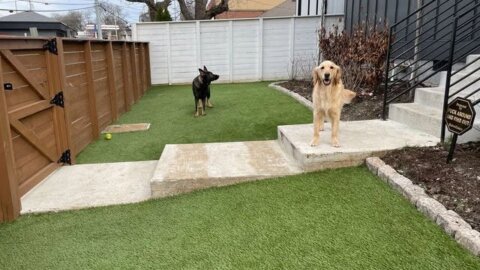 Best Pet Turf Shops in Murfreesboro, TN