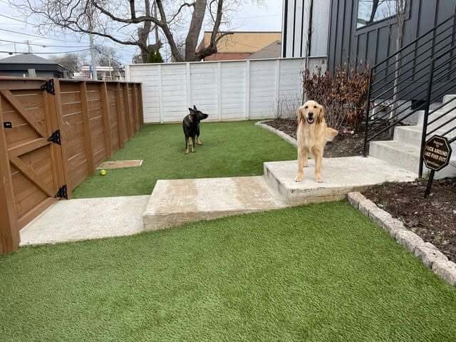 Best Pet Turf Shops in Murfreesboro, TN