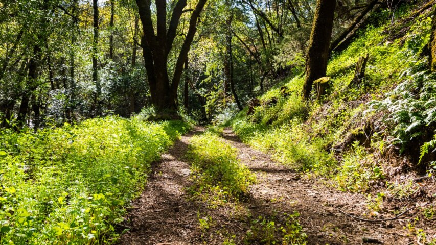Nature Trails and Walking Paths in Salem, Oregon