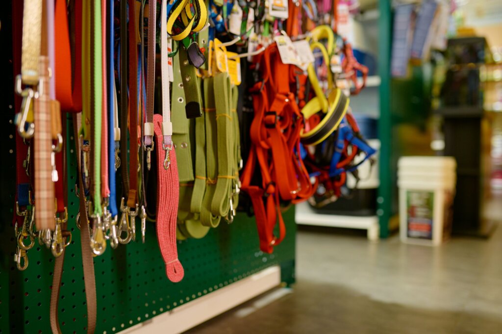 Salem pet store