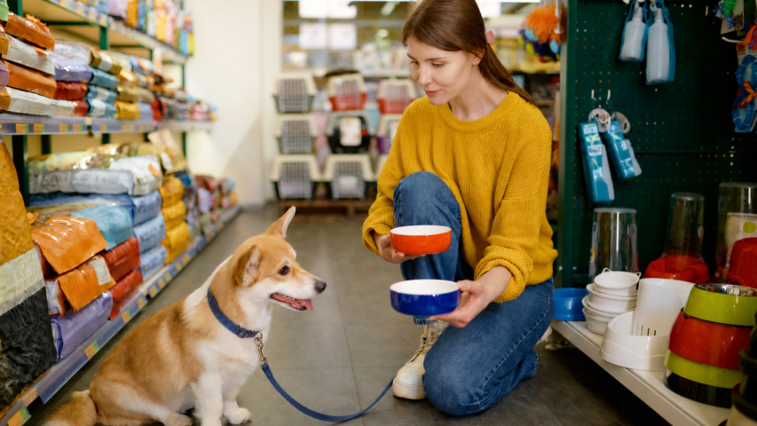 Local Pet Supply Stores in Salem, Oregon
