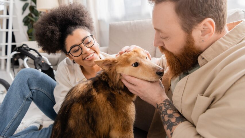 The Most Overlooked Cost of Pet Adoption: Time