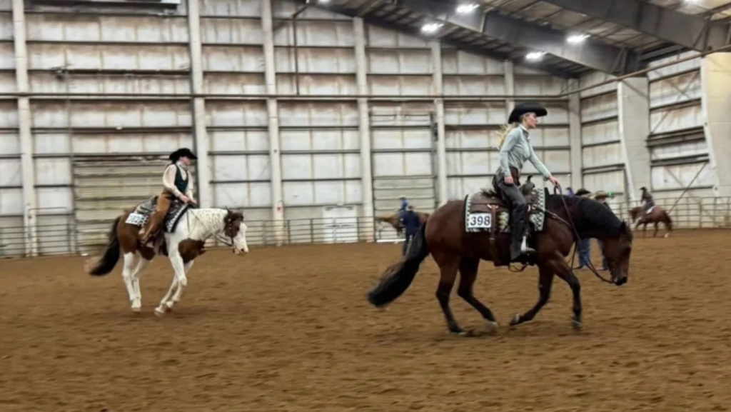 NW Buckskin Club Horse Show