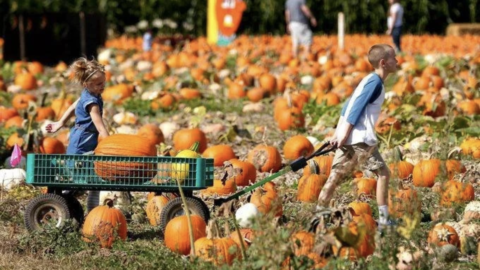 Things to do in Salem, Oregon // September 25 - 27, 2026